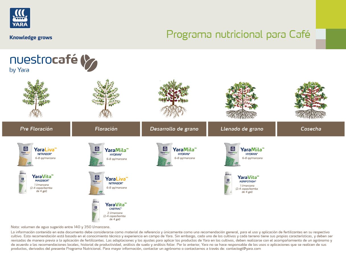 Programa de Nutrición Café