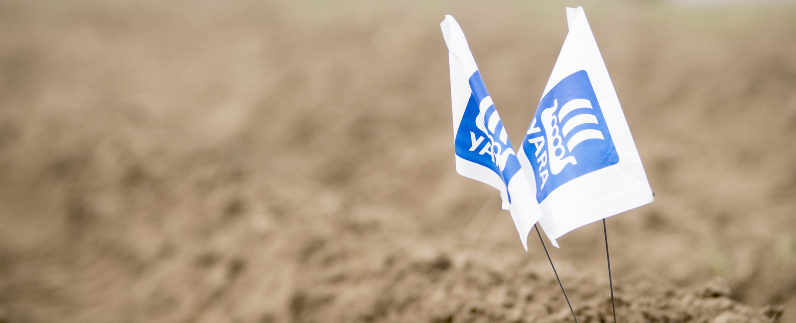 terminos y condiciones yara